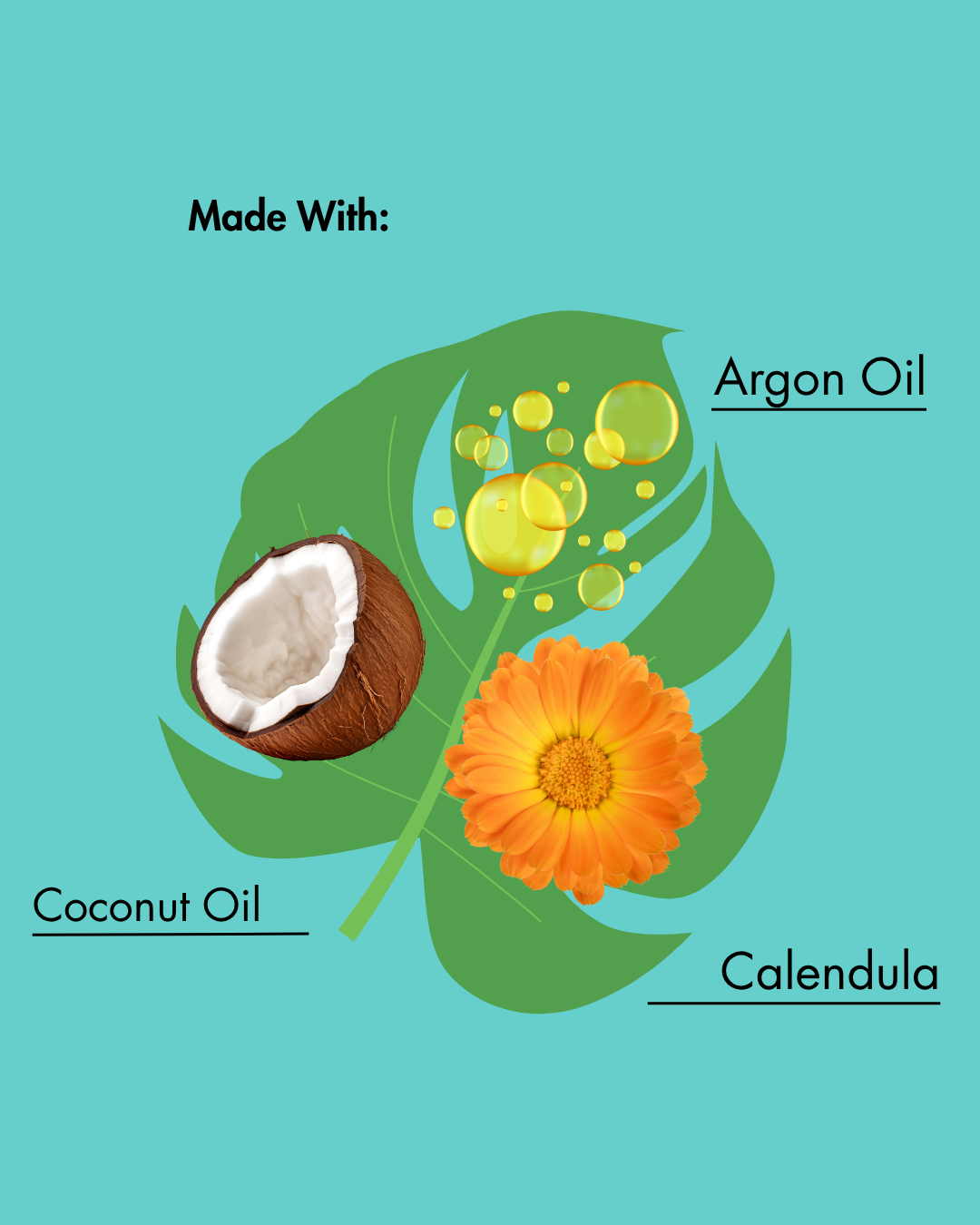 Productlabel met kokosnoot, calendulabloem en arganolie op groenblauwe achtergrond