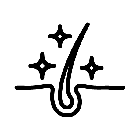 Haarfollikel