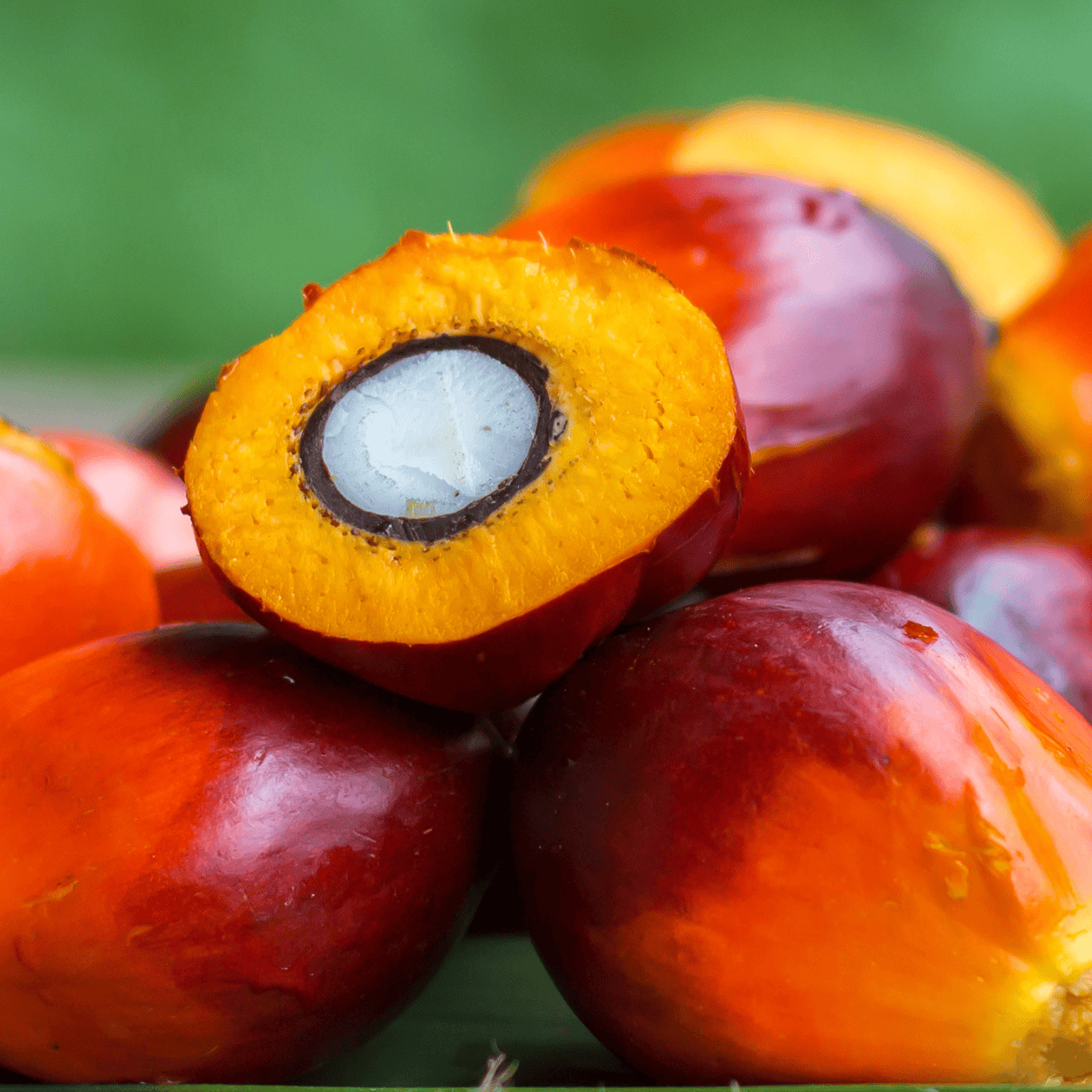 Close-up van een palmvrucht met een doorsnede die het binnenste laat zien.