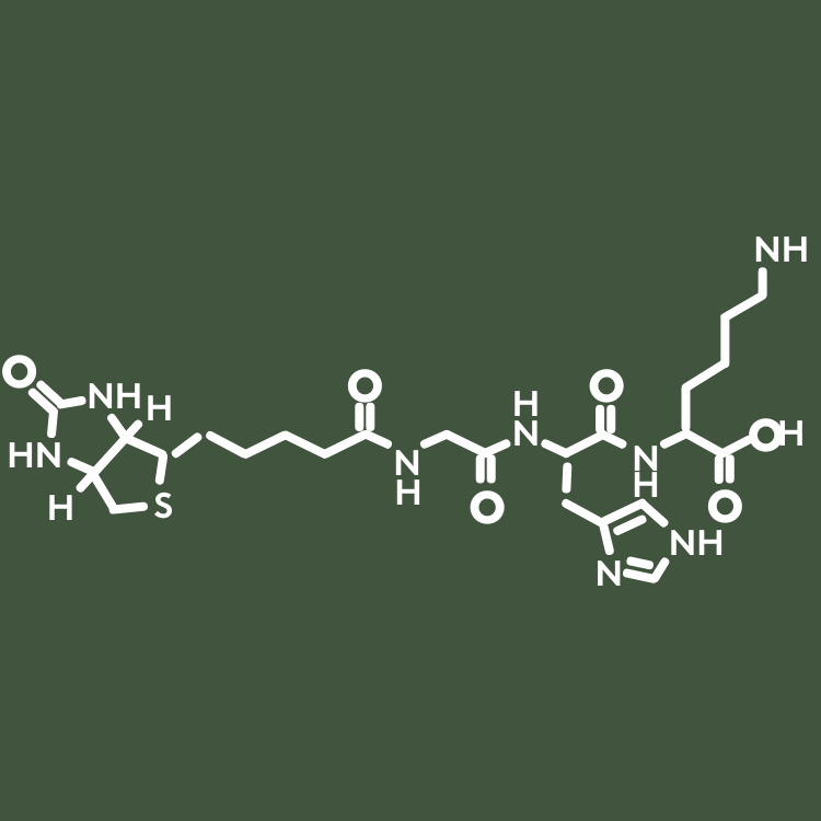 Close-up afbeelding van de Biotinoyl Tripeptide-1 molecule, bekend om het versterken van haarzakjes, het verminderen van haaruitval en het bevorderen van dikkere haargroei.