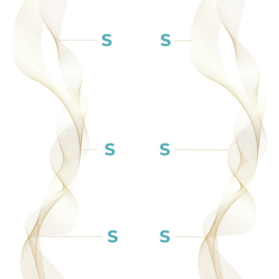 As I Am Bond Collection - Versterk, herstel en bescherm je haar met onze geavanceerde formule die de haarstructuur versterkt. Deze collectie is ontworpen voor alle haartypes en helpt breuk te verminderen, elasticiteit te verbeteren en gezonde, veerkrachtige lokken te herstellen. Veganistisch, cruelty-free en wetenschappelijk samengesteld voor ultieme haarkracht.