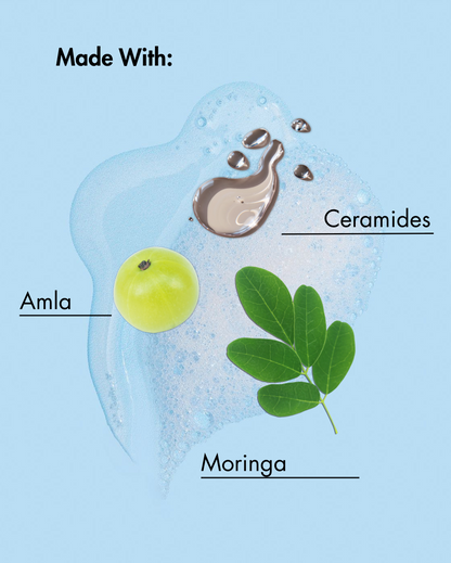Diagram met Amla, Moringa en Ceramiden met een blauwe achtergrond